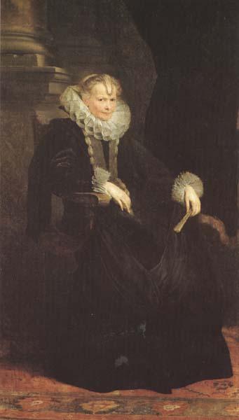 Anthony Van Dyck Genuese Van Dyck (mk45) oil painting image